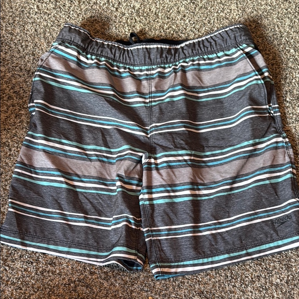 Speedo Men's Striped Swim Shorts - Gray and Blue